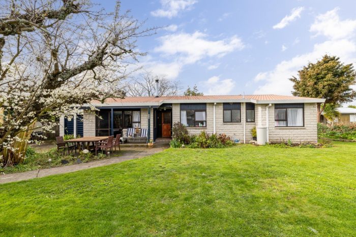 518A Fenwick Street, Mayfair, Hastings, Hawke’s Bay, 4122, New Zealand