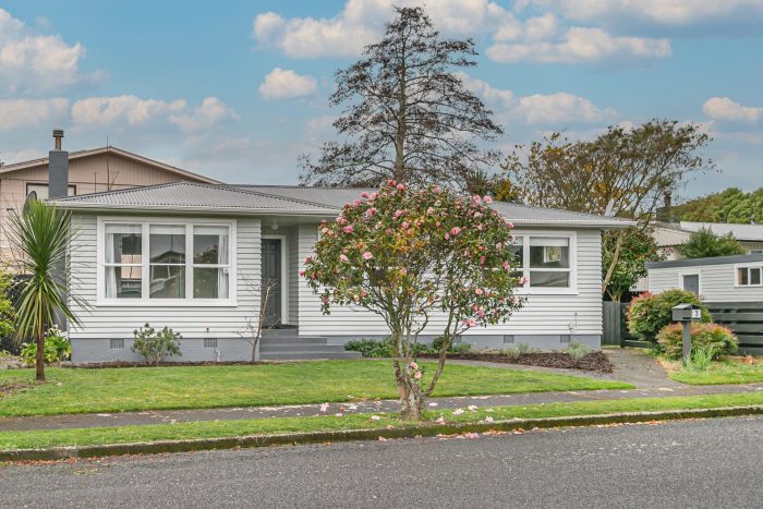 3 Conway Street, Levin, Horowhenua, Manawatu / Whanganui, 5510, New Zealand
