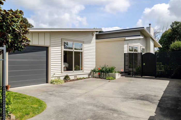 56 Havill Street, Takaro, Palmerston North, Manawatu / Whanganui, 4410, New Zealand