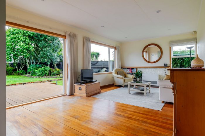 56 Havill Street, Takaro, Palmerston North, Manawatu / Whanganui, 4410, New Zealand