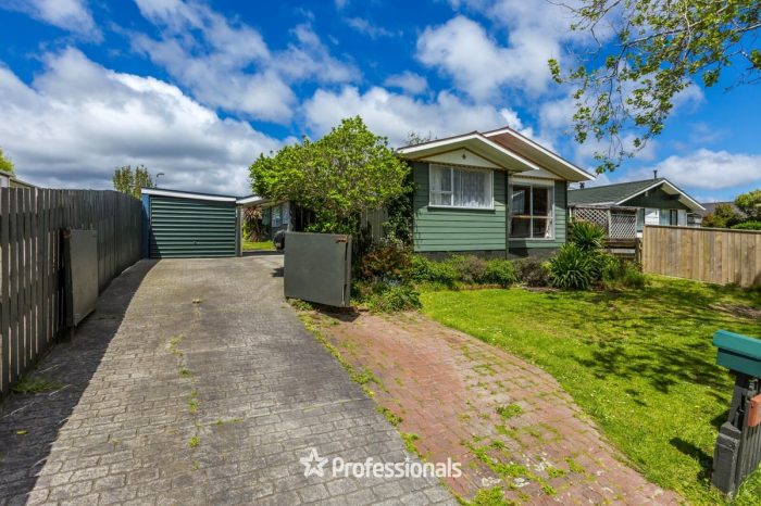 169 California Drive, Totara Park, Upper Hutt, Wellington, 5018, New Zealand