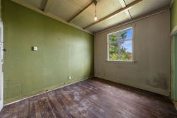 23 Euston Road, Sandringham, Auckland, 1025, New Zealand