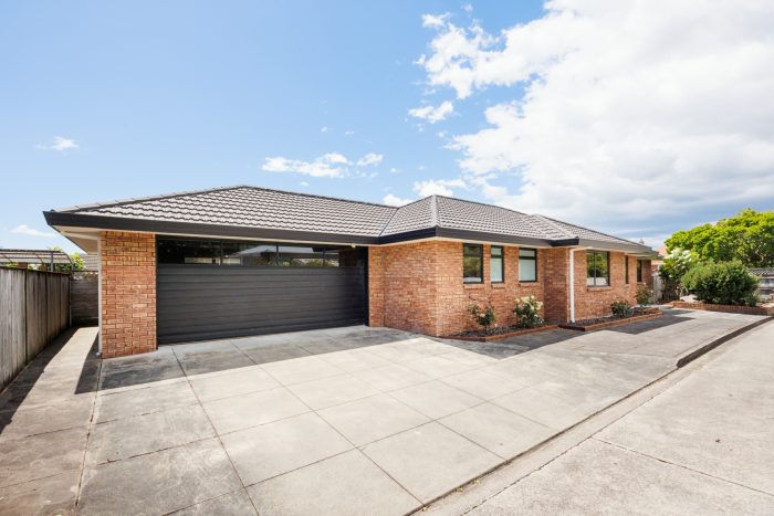 204 Vogel Street, Roslyn, Palmerston North, Manawatu / Whanganui, 4414, New Zealand