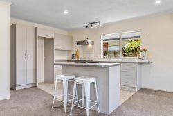 38 Duke Street, Levin, Horowhenua, Manawatu / Whanganui, 5510, New Zealand