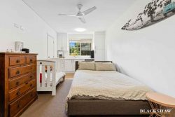 11 Zanthus Dr, Broulee NSW 2537, Australia