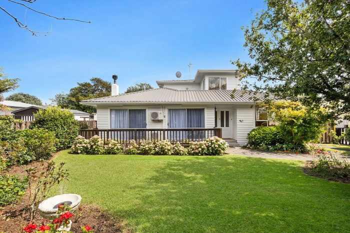 91 Coronation Road, Morrinsville, Matamata-Piako, Waikato, 3300, New Zealand
