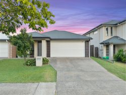 17 Ribbonwood St, Ripley QLD 4306, Australia