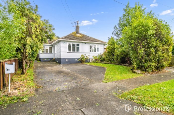 45 Molesworth Street, Taita, Lower Hutt, Wellington, 5011, New Zealand