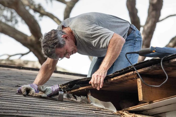 Roof restoration hills district