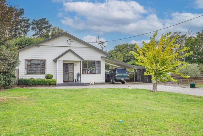 181 Roslyn Road, Levin, Horowhenua, Manawatu / Whanganui, 5510, New Zealand