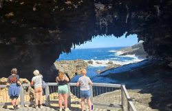 Kangaroo Island Day Tours