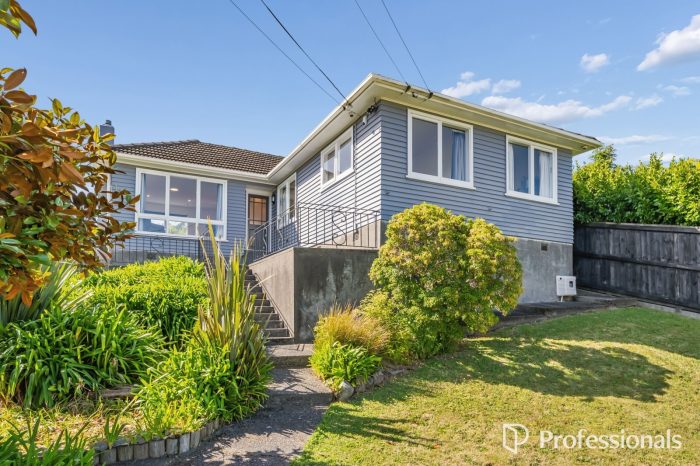 9 Peel Place, Wainuiomata, Lower Hutt, Wellington, 5014, New Zealand