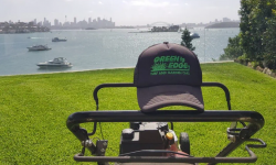 Gardening services Northern beaches