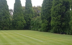 Lawn Mowing Eastern Suburbs