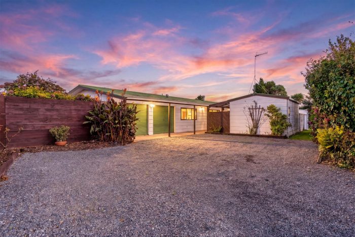 20A Regal Street, Levin, Horowhenua, Manawatu / Whanganui, 5510, New Zealand