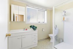 19 Beta Street, Belleknowes, Dunedin, Otago, 9011, New Zealand