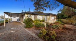 13 Barossa Valley Way, Tanunda SA 5352, Australia