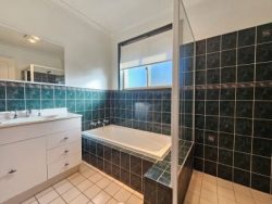 11 Grimes Cl, Denman NSW 2328, Australia