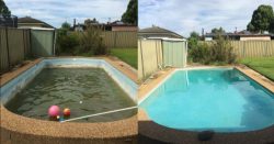 Pool Franchise