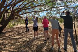 Barossa Valley Wine Tours