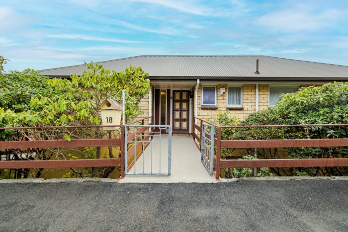 18 Bouverie Street, North East Valley, Dunedin, Otago, 9010, New Zealand
