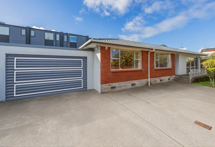 2 Ferguson Avenue, Greenlane, Auckland, 1061, New Zealand