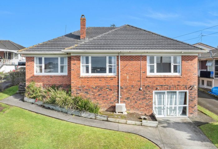 28 Marion Avenue, Mount Roskill, Auckland, 1041, New Zealand