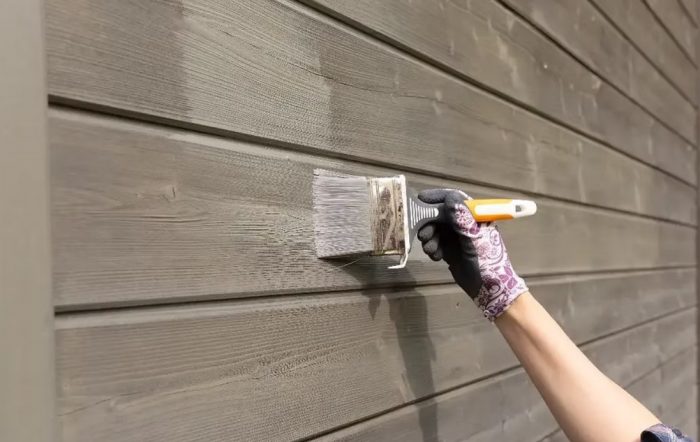 Painter Manly