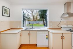 22 Shamrock Street, Takaro, Palmerston North, Manawatu / Whanganui, 4412, New Zealand