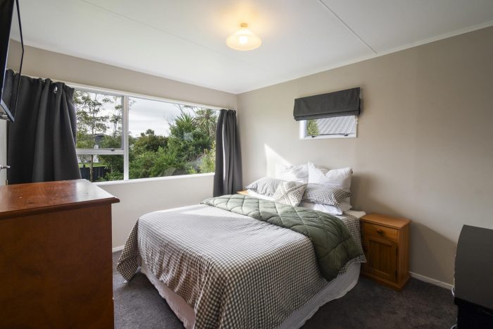 17 Wild Street, Feilding, Manawatu, Manawatu / Whanganui, 4702, New Zealand