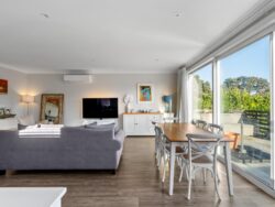 204 Coutts Street Rongotai Wellington City Wellington 6022 New Zealand