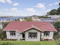 17 Rakau Road Hataitai Wellington City Wellington 6021 New Zealand
