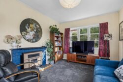 49 Aotea Street Tainui Dunedin Otago 9013 New Zealand