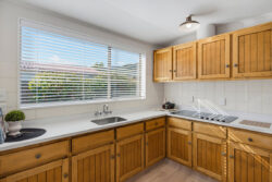 40A Rewarewa Crescent Waikanae Kapiti Coast Wellington 5036 New Zealand