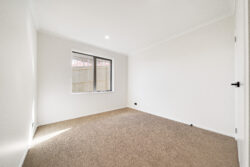 47 Coptic Terrace Pokeno Franklin Auckland 2402 New Zealand