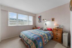 16 Elizabeth Street Tauhara Taupo Waikato 3330 New Zealand