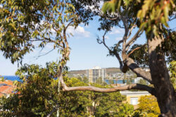 Unit 3/7 Dalley St Queenscliff NSW 2096 Australia