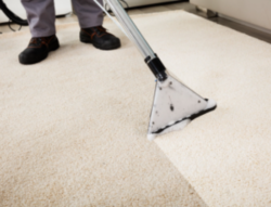 Carpet Cleaning Springfield