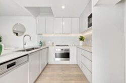 50 Telopea Ave Homebush West NSW 2140, Australia